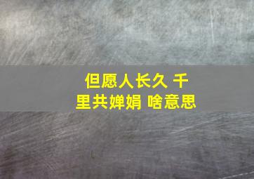 但愿人长久 千里共婵娟 啥意思